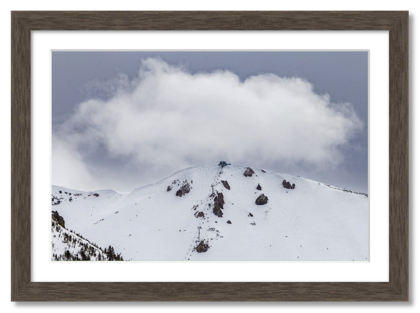"Fluffy Little Cloud"