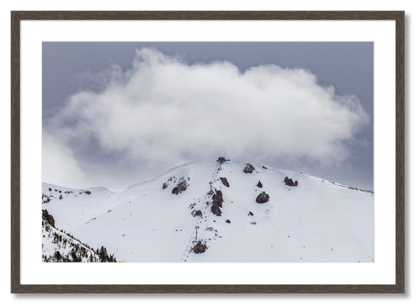 "Fluffy Little Cloud"
