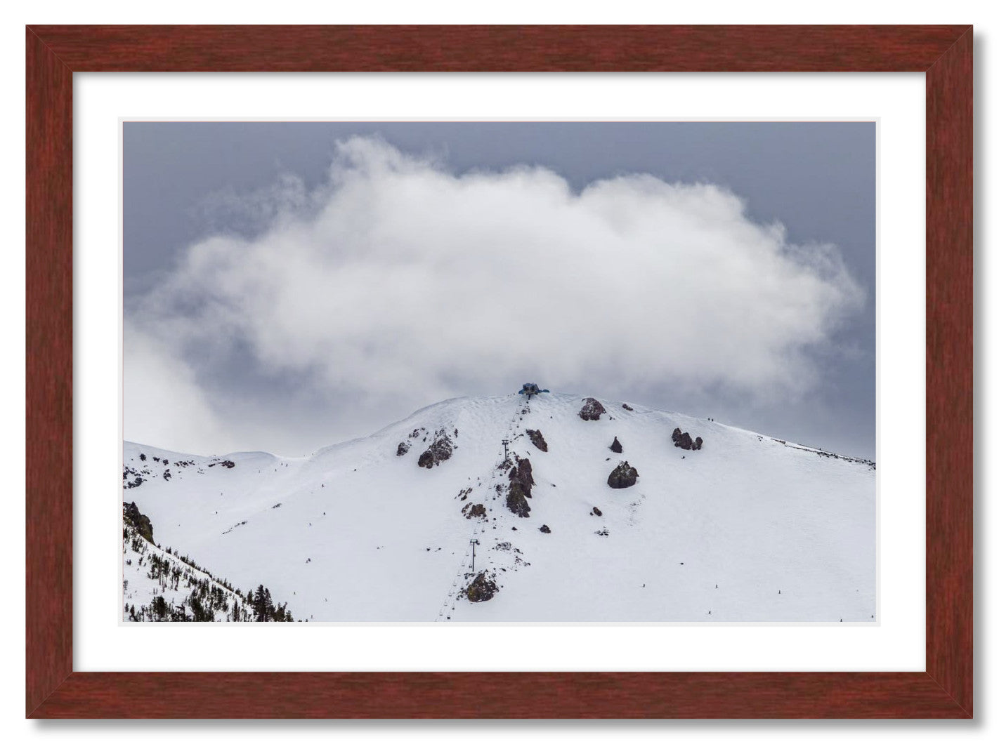 "Fluffy Little Cloud"