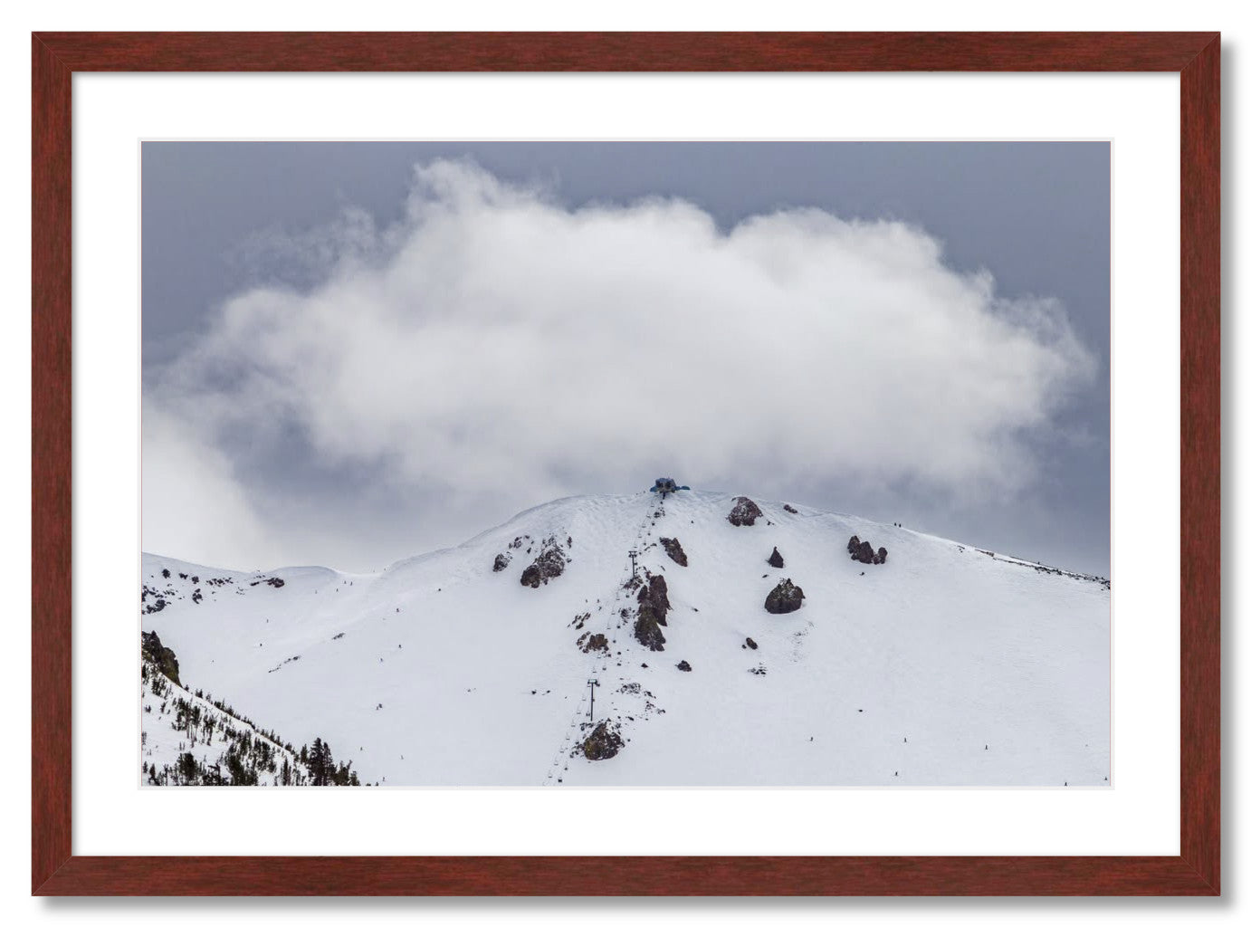 "Fluffy Little Cloud"