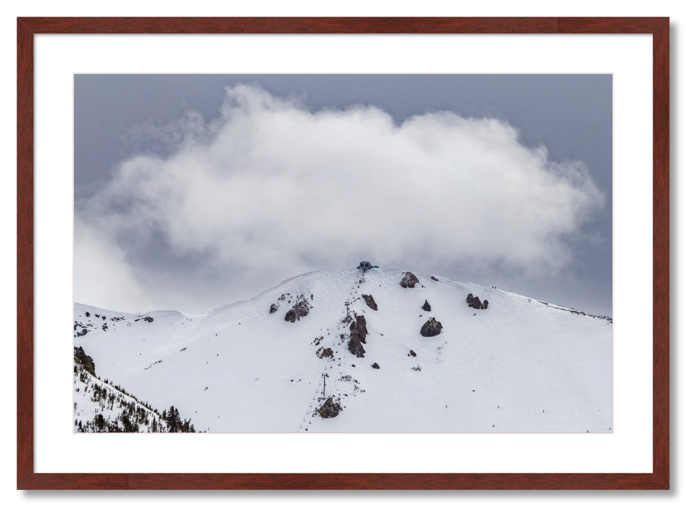 "Fluffy Little Cloud"