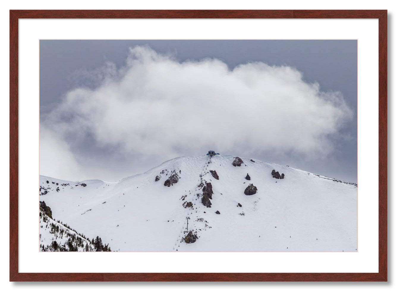 "Fluffy Little Cloud"