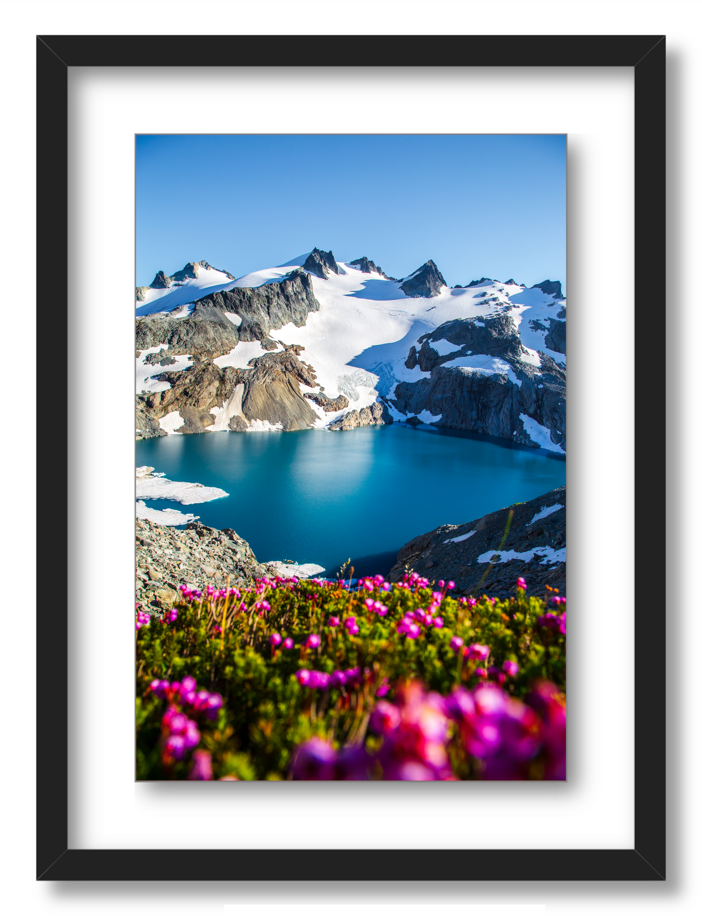 - Glacial Lake Wildflowers -