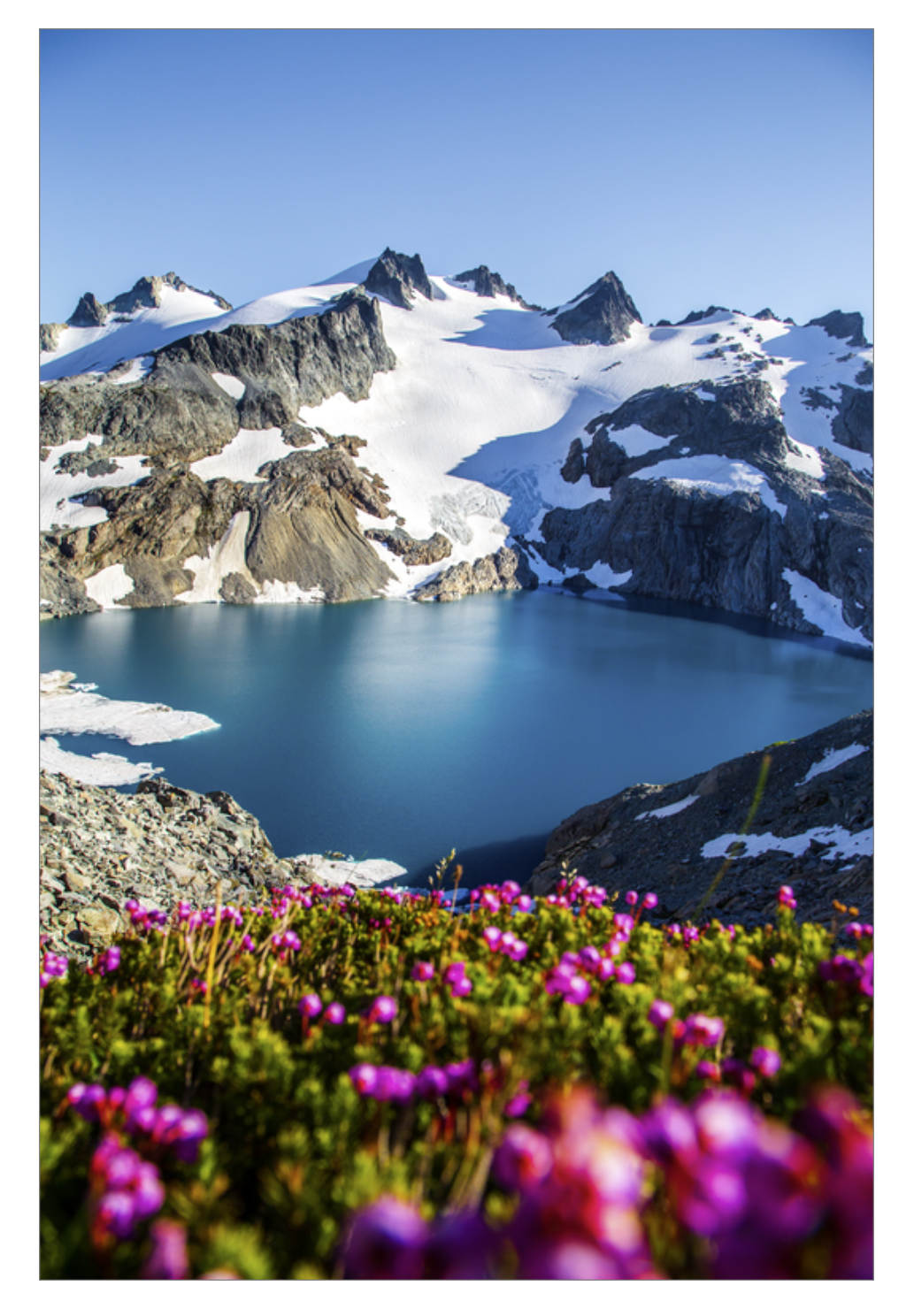 - Glacial Lake Wildflowers -