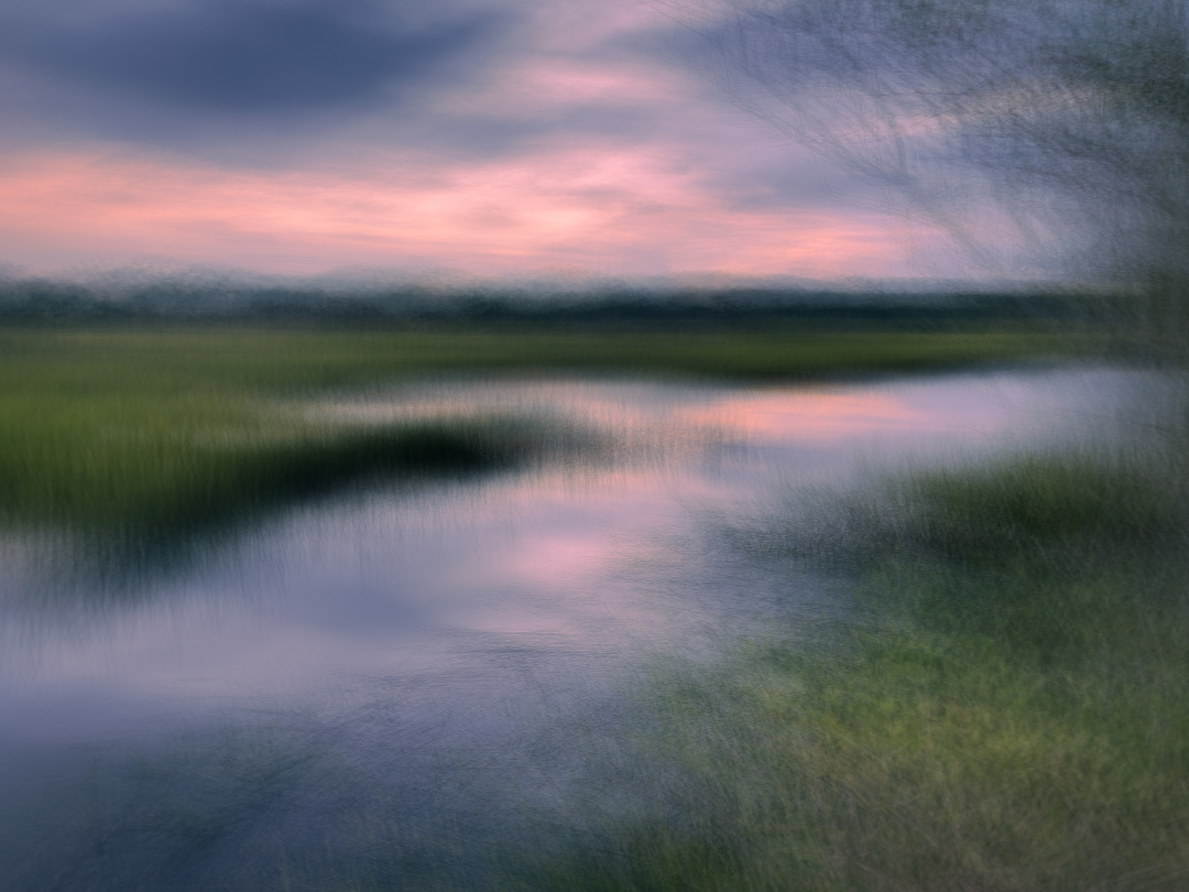 'Stono River Marsh'