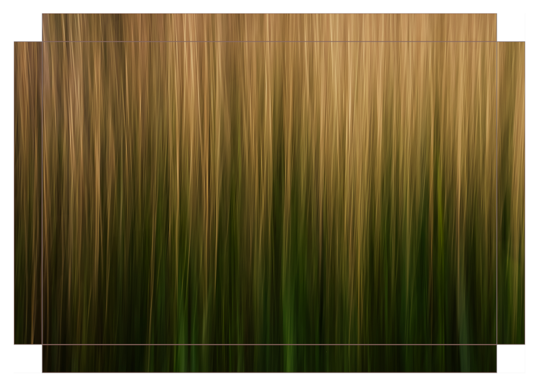Streaks of Grass