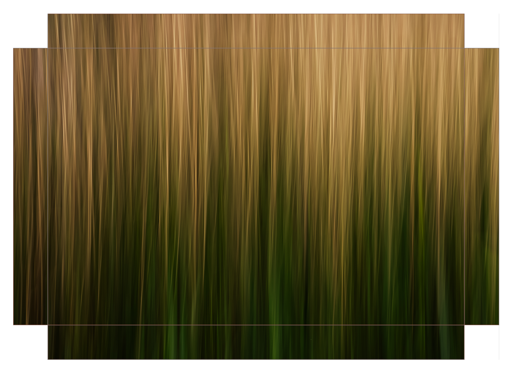 Streaks of Grass