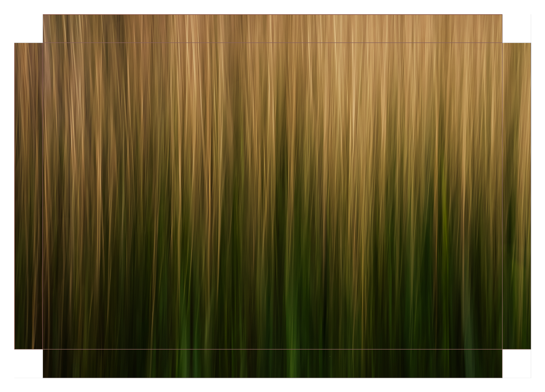 Streaks of Grass