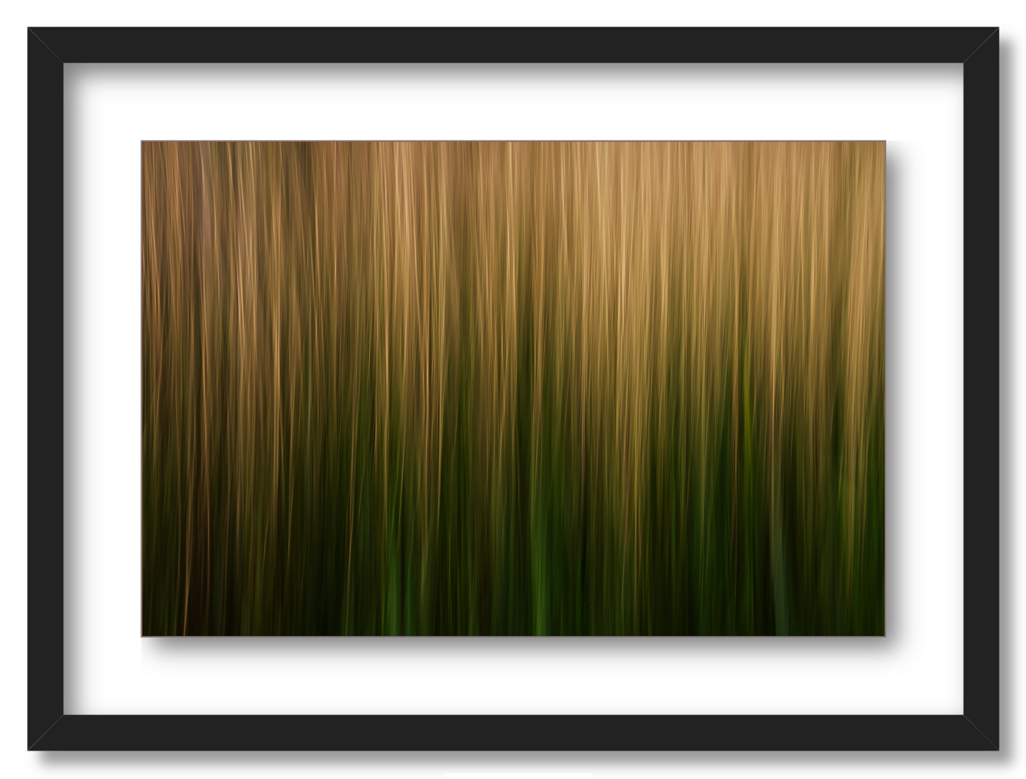 Streaks of Grass
