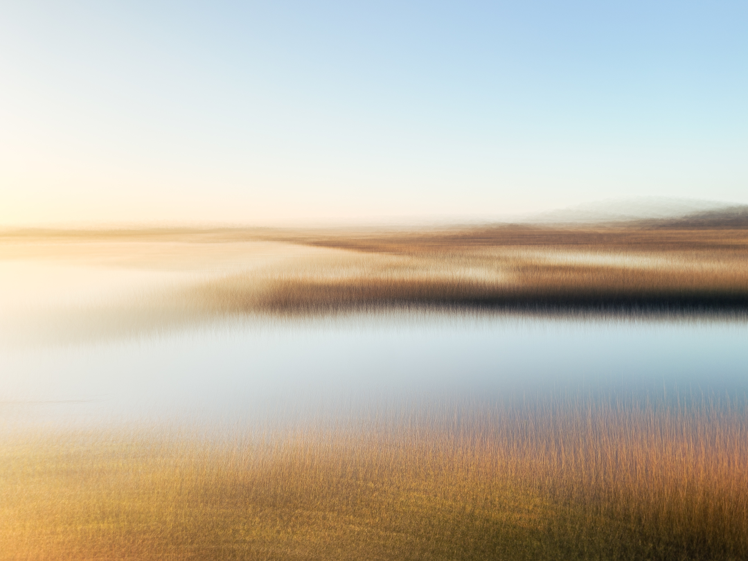 'The Estuary'