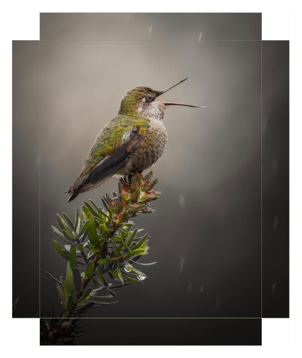 "Catching Drops"