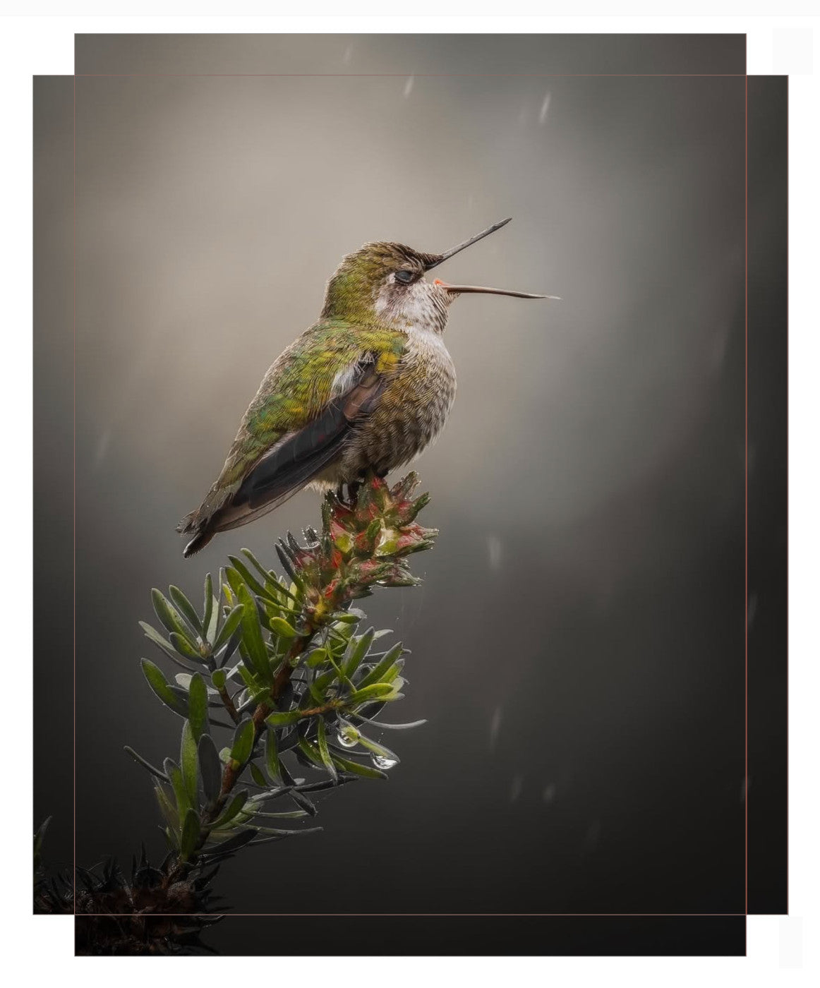 "Catching Drops"