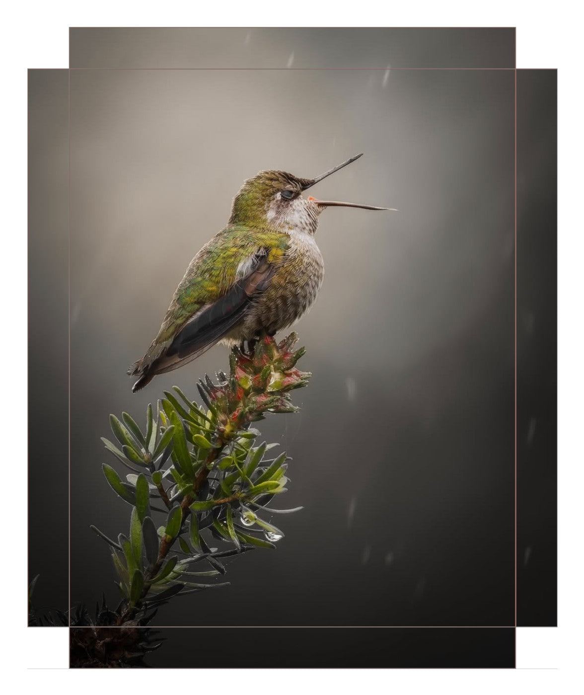 "Catching Drops"