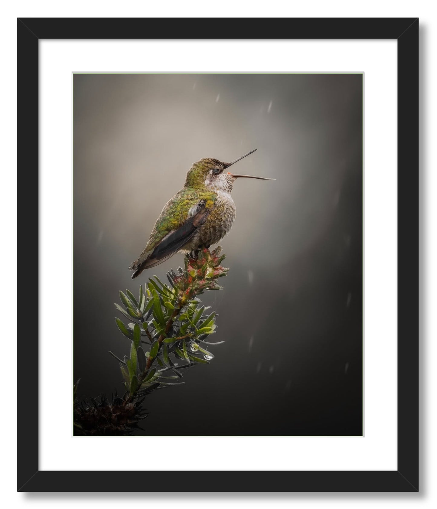 "Catching Drops"