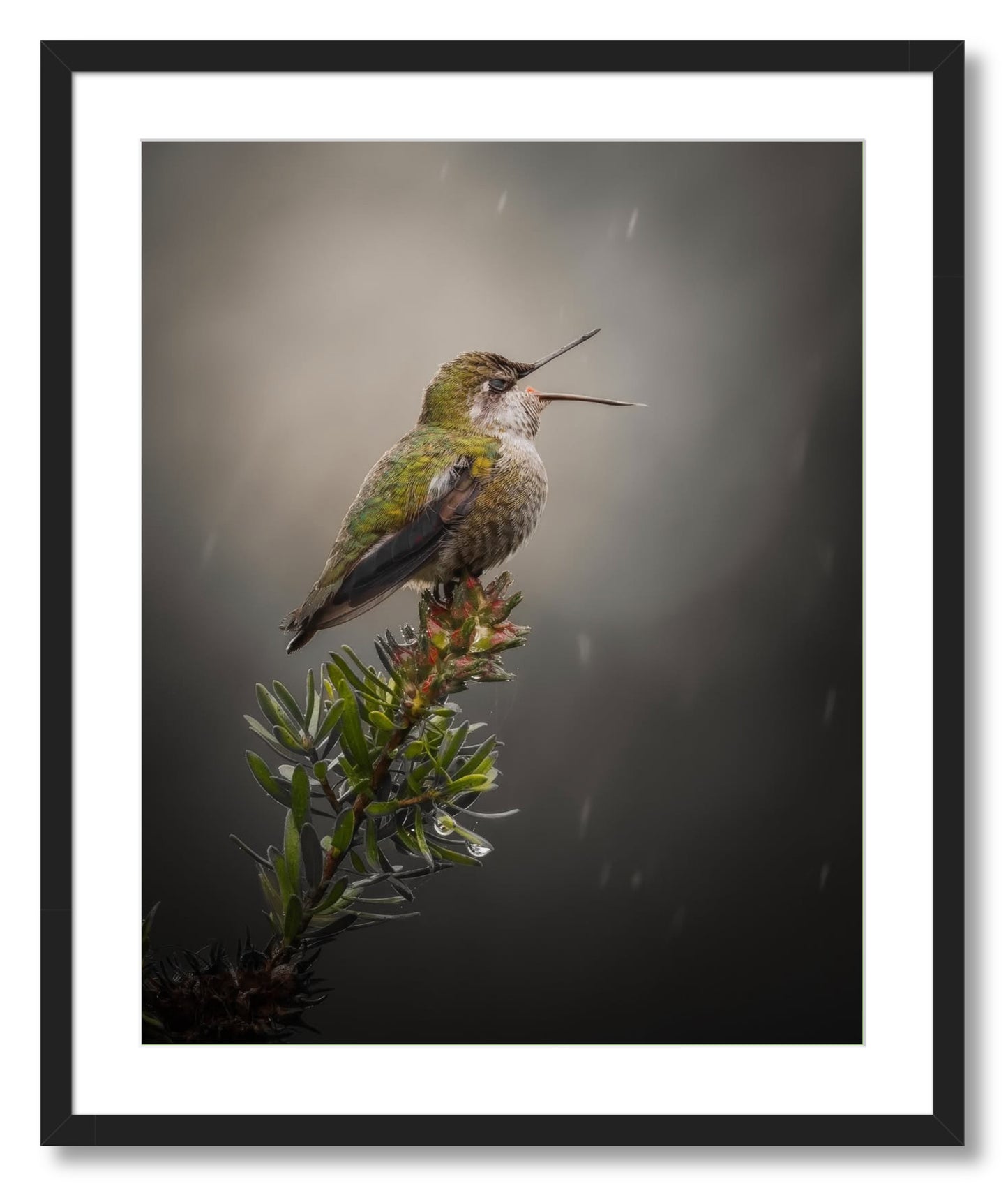 "Catching Drops"