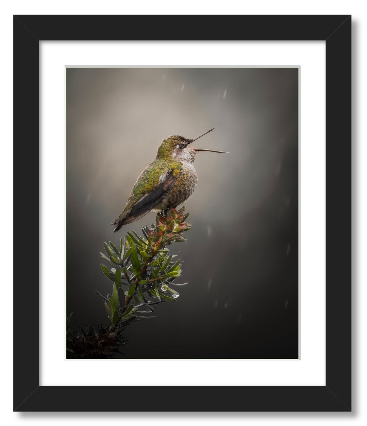"Catching Drops"