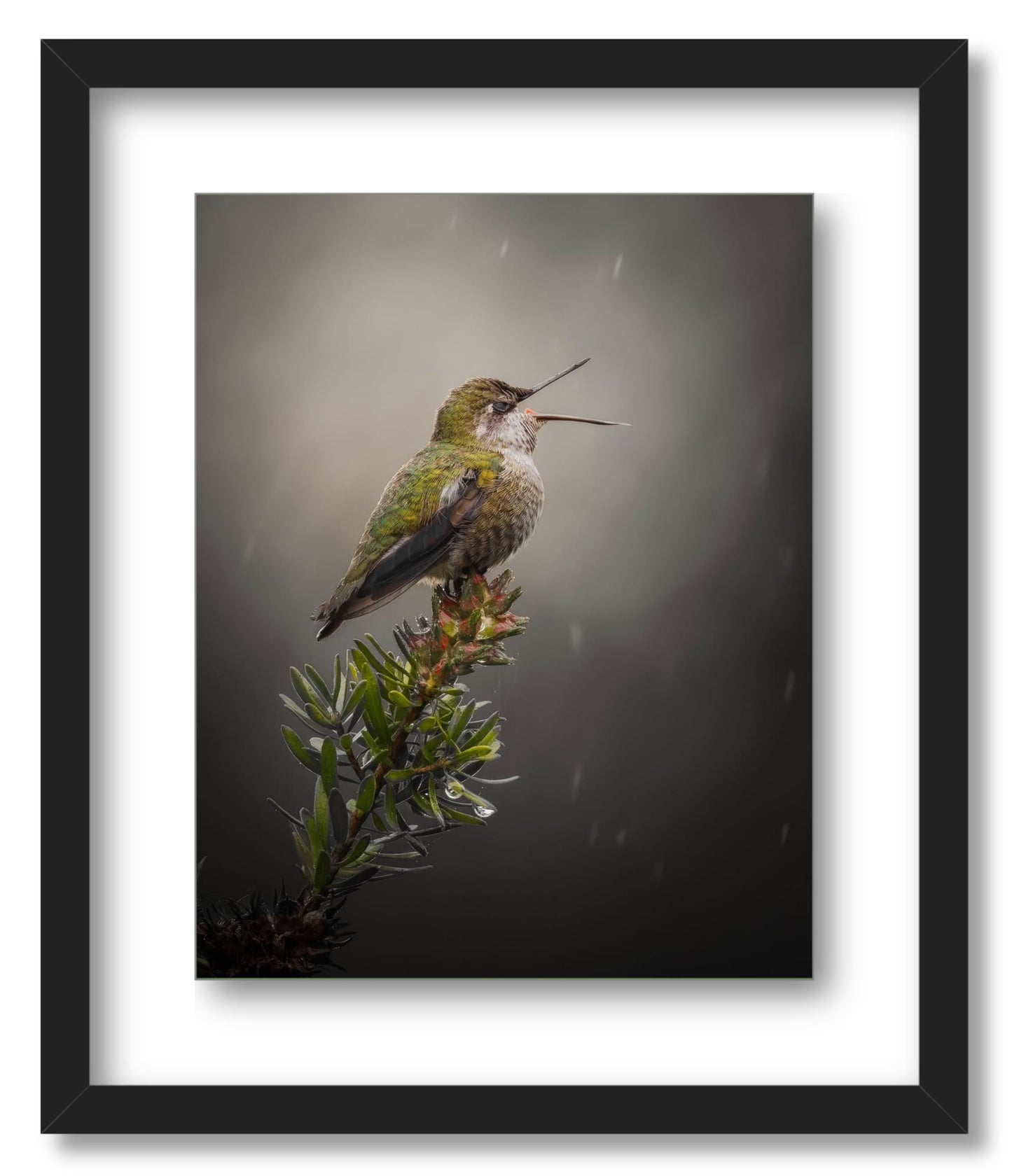 "Catching Drops"