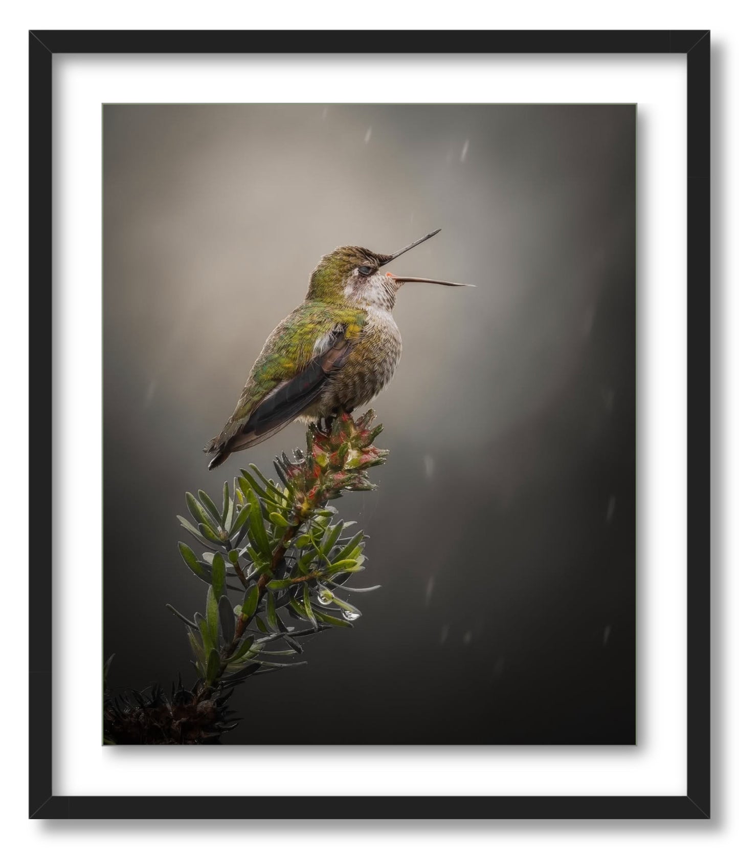"Catching Drops"