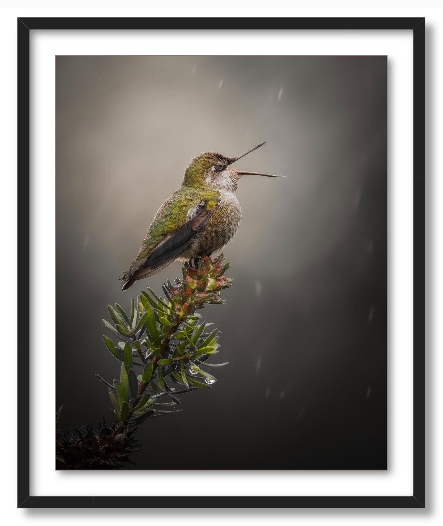 "Catching Drops"