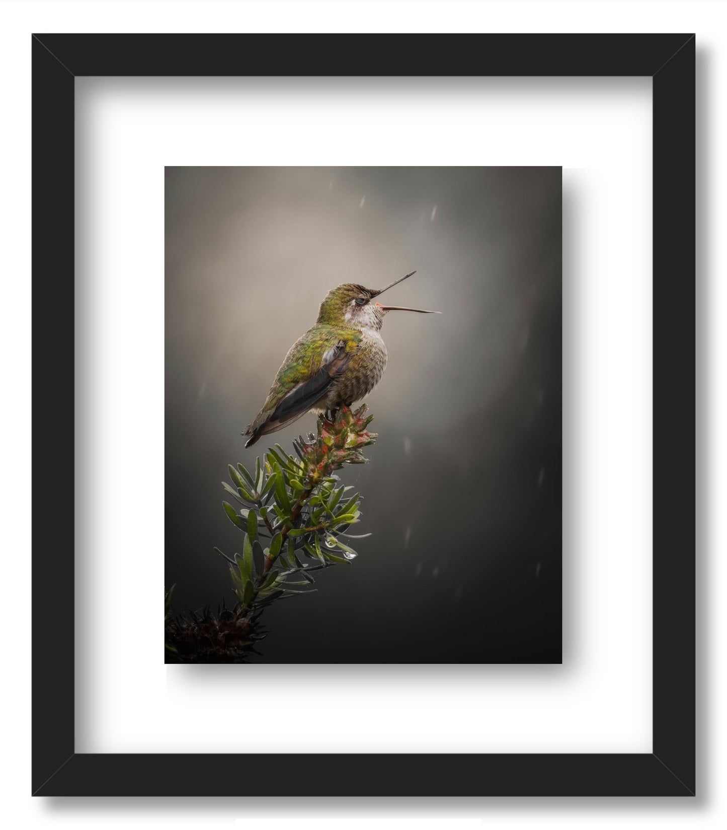 "Catching Drops"