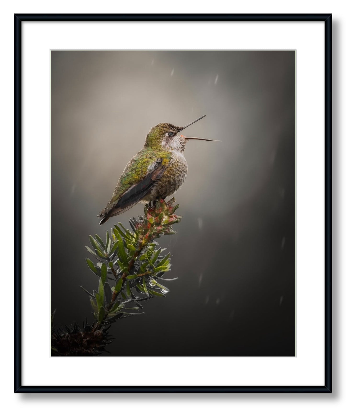 "Catching Drops"