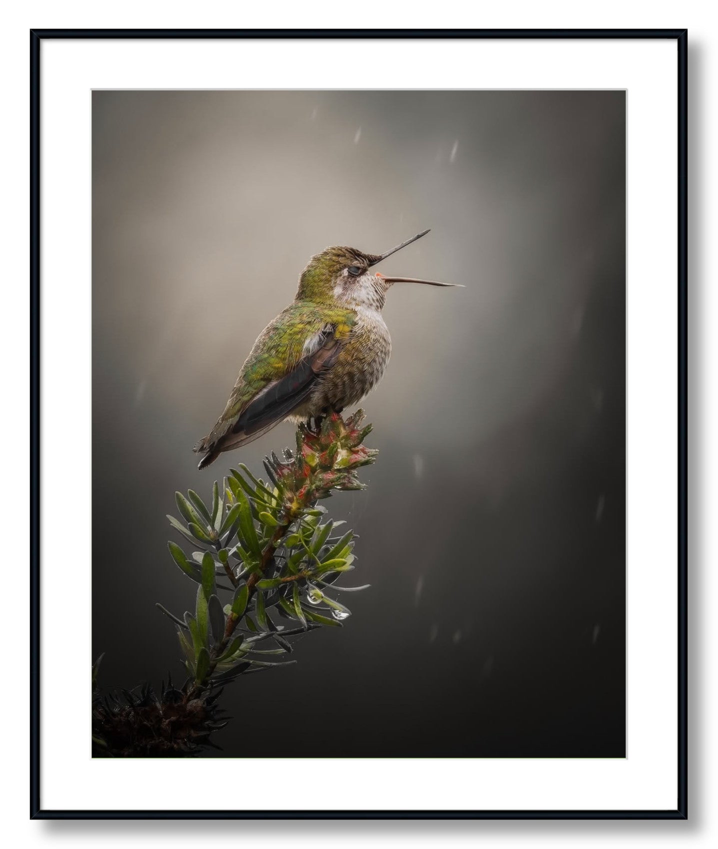 "Catching Drops"