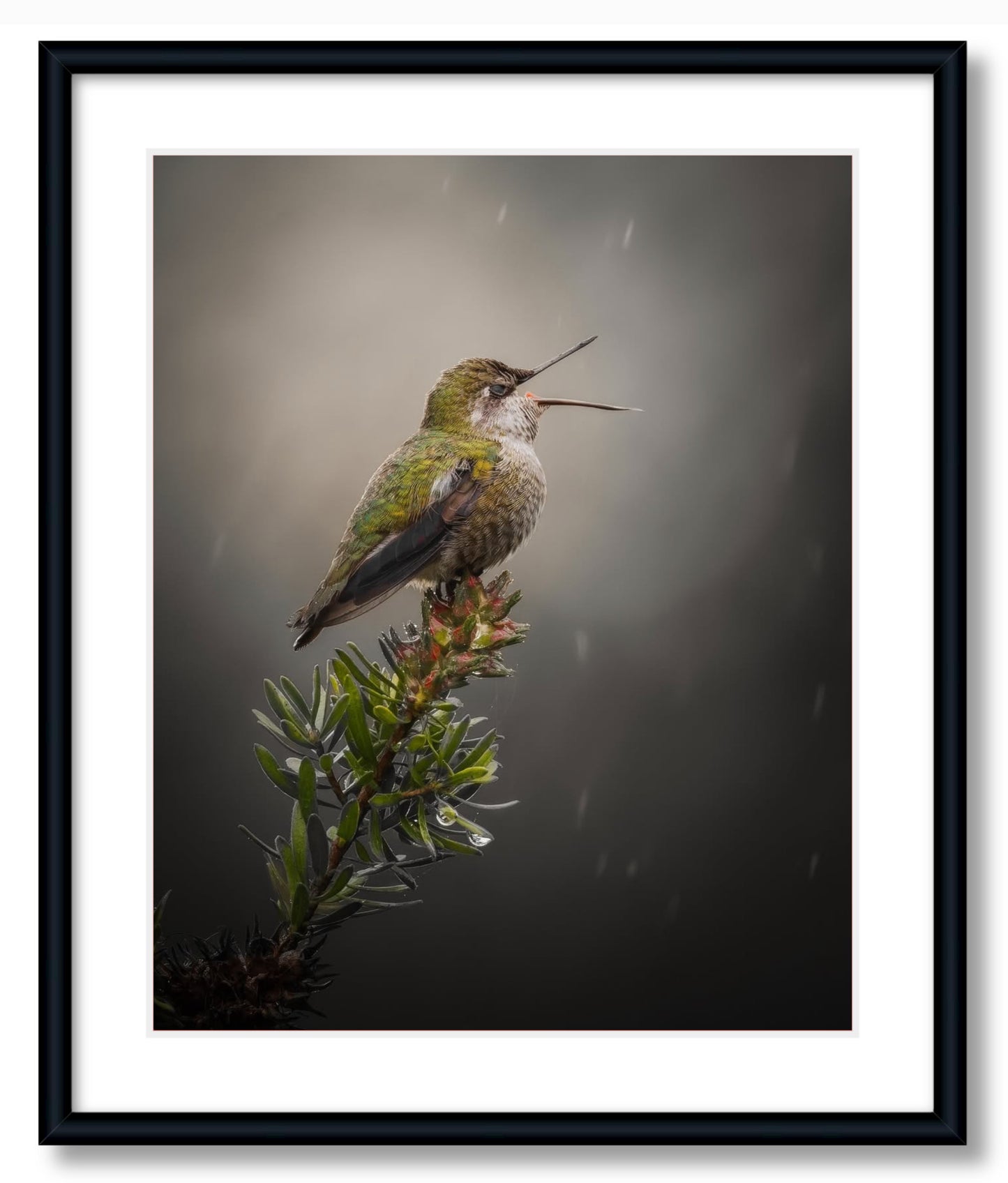 "Catching Drops"