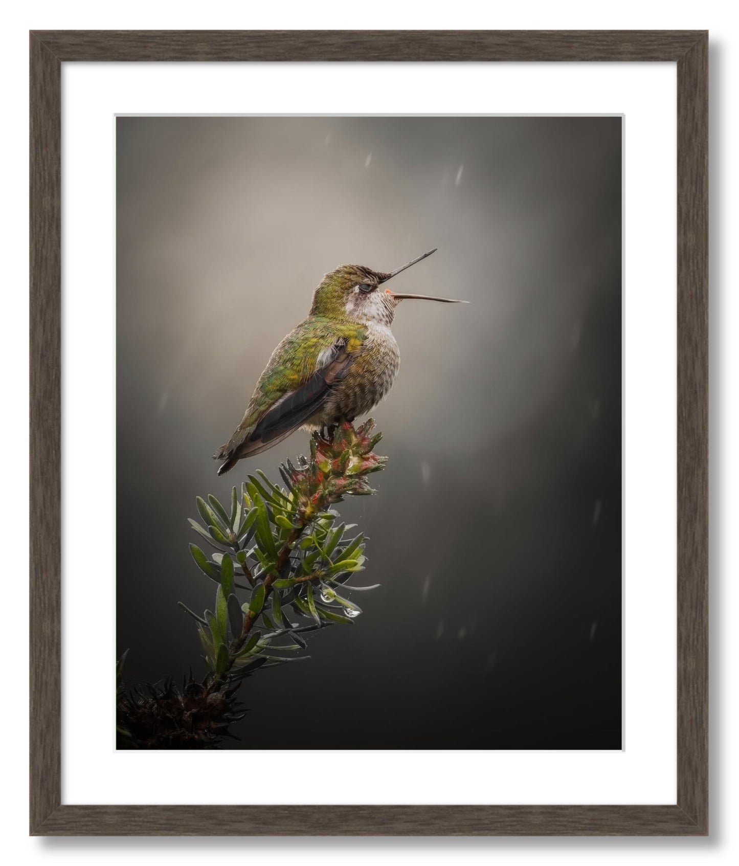 "Catching Drops"