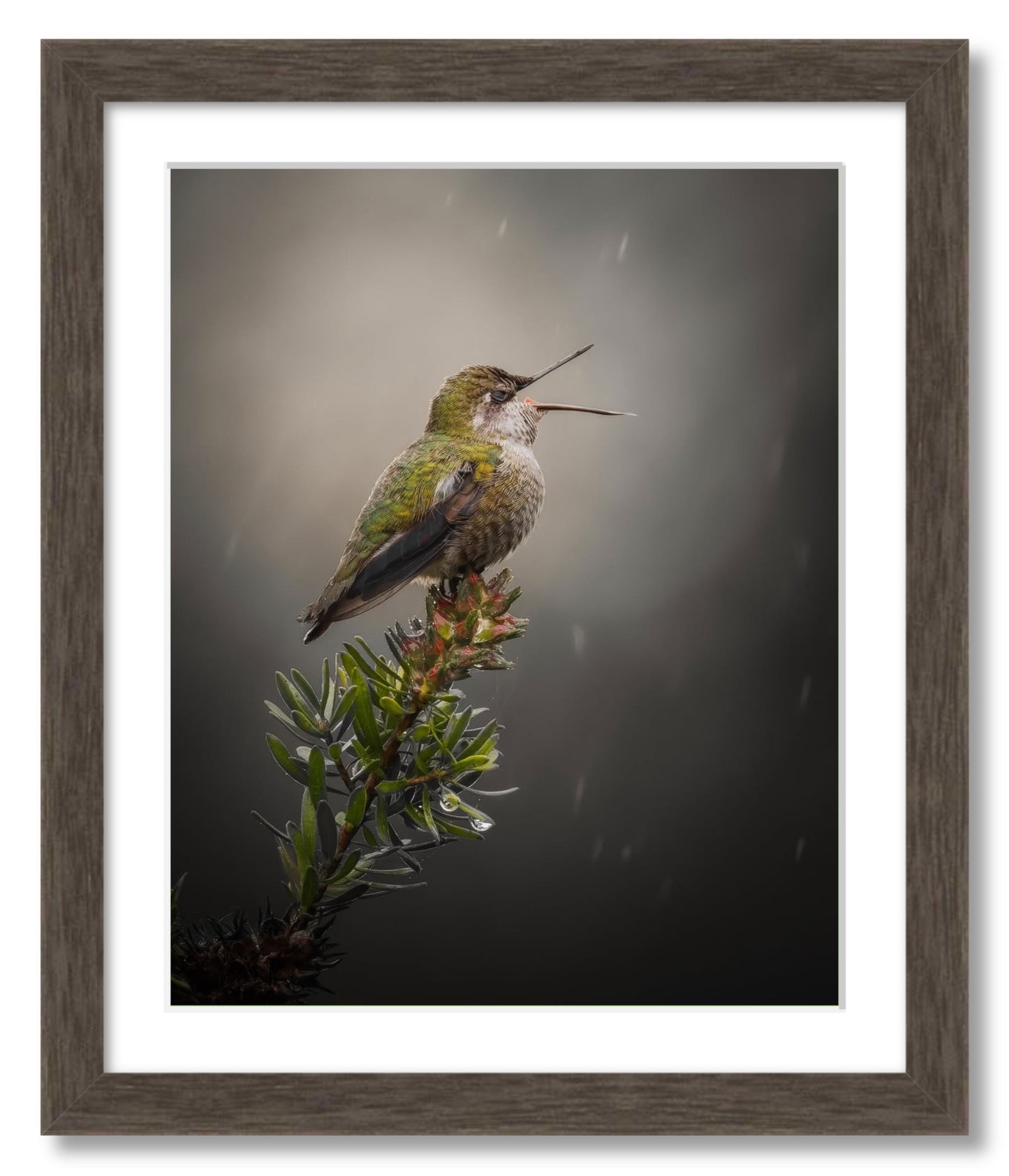 "Catching Drops"