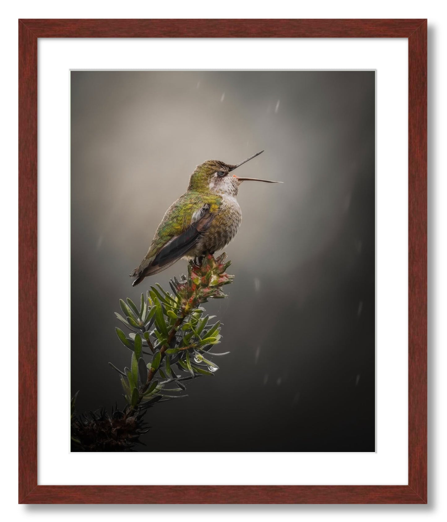 "Catching Drops"