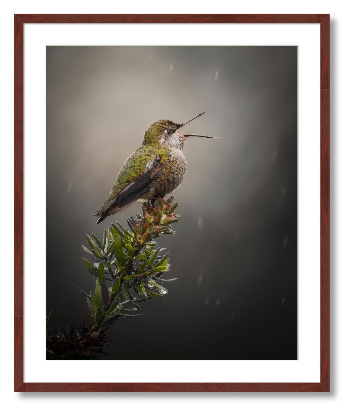 "Catching Drops"