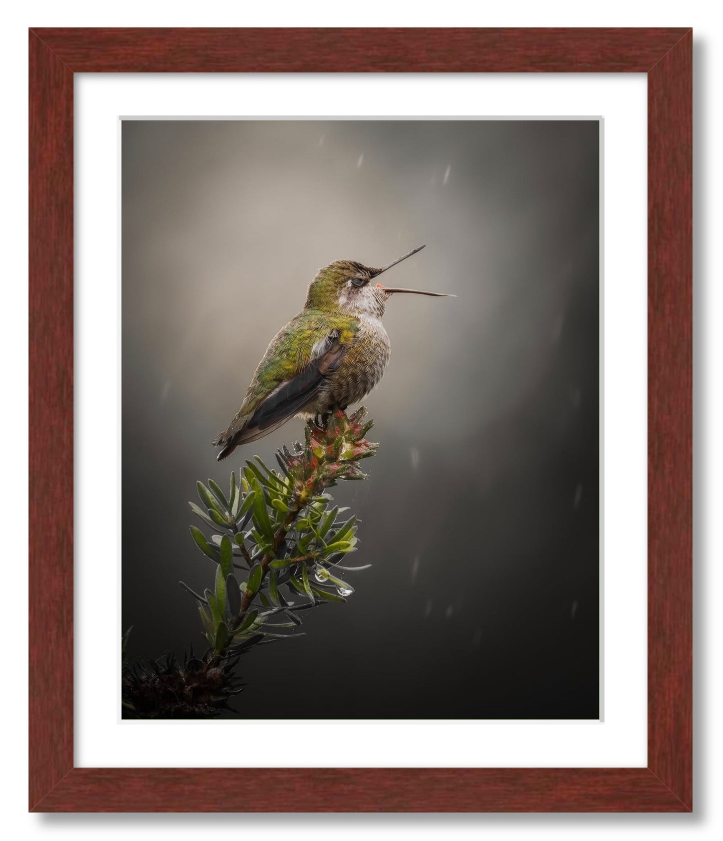 "Catching Drops"