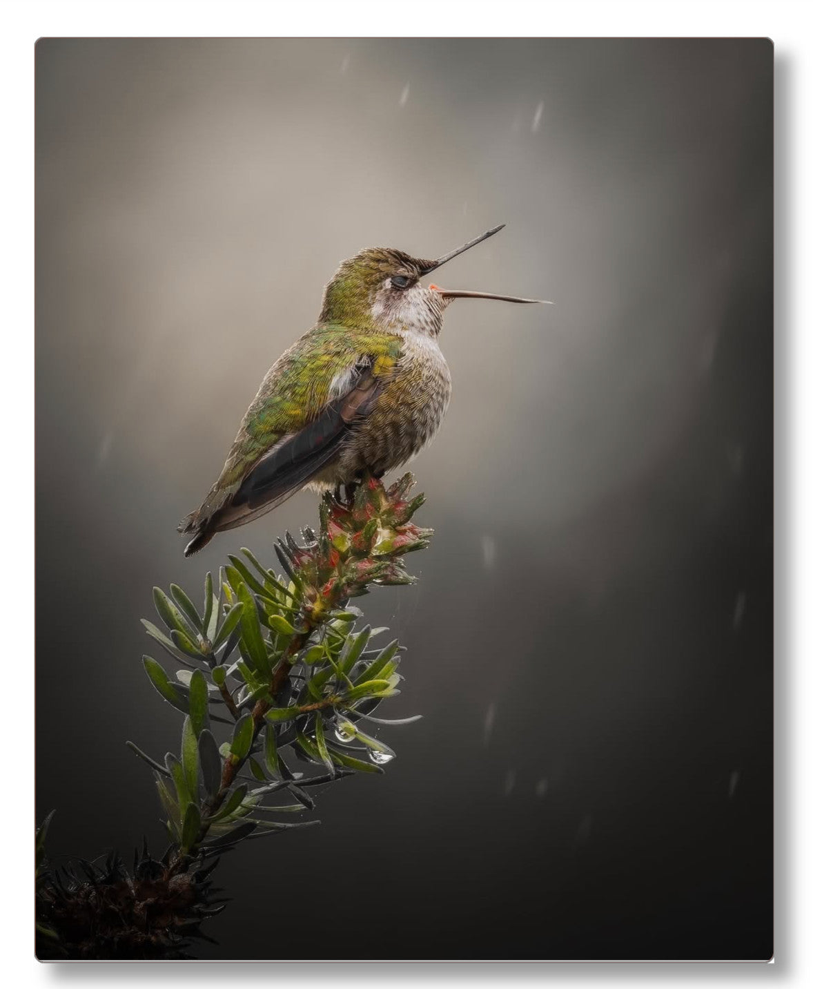 "Catching Drops"