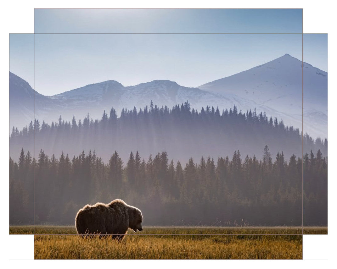 "Evening Graze"