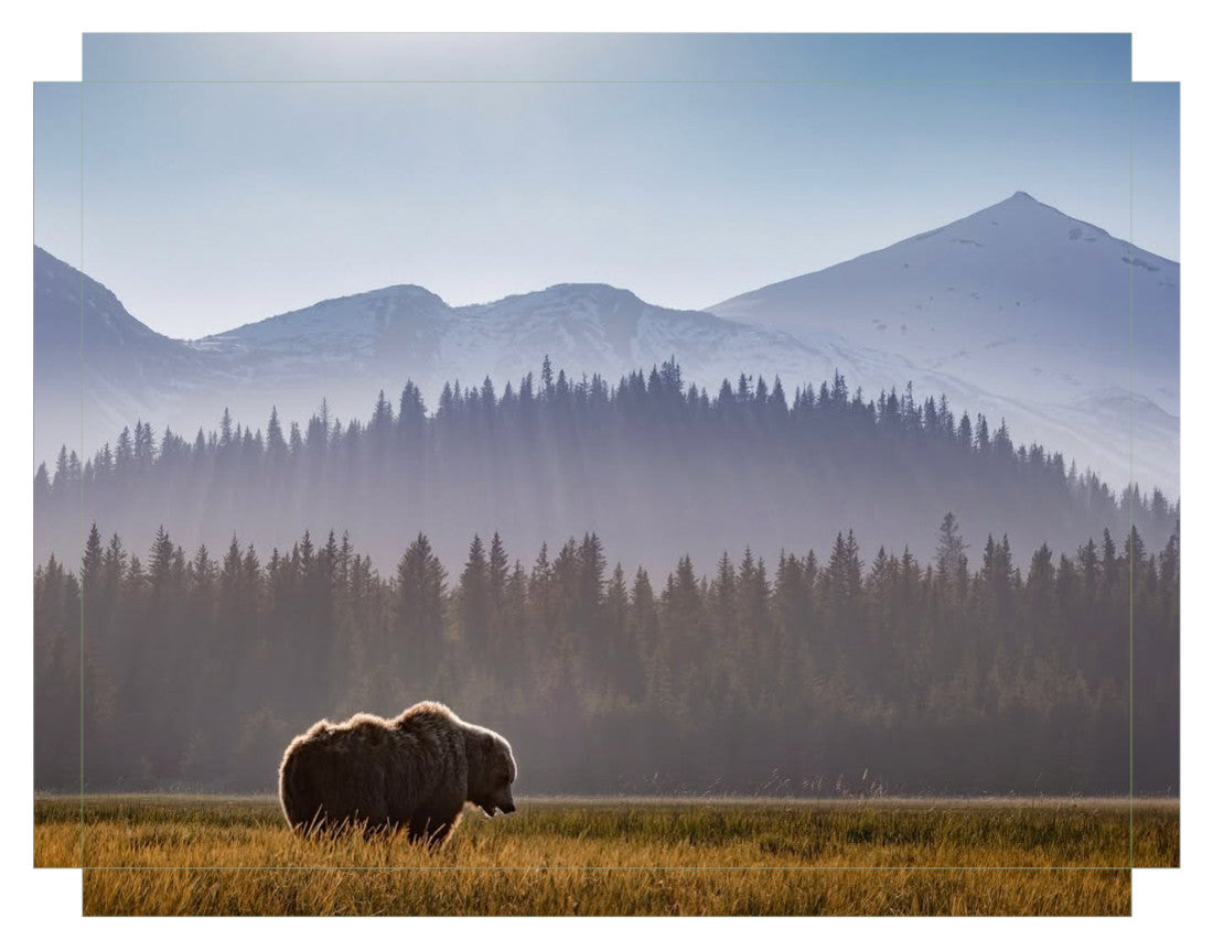 "Evening Graze"