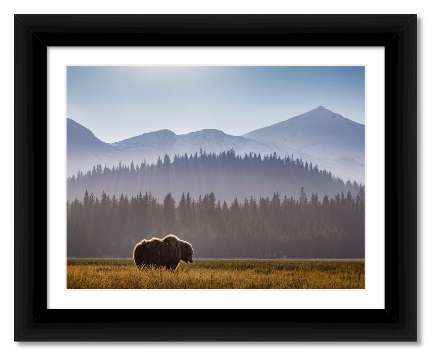 "Evening Graze"