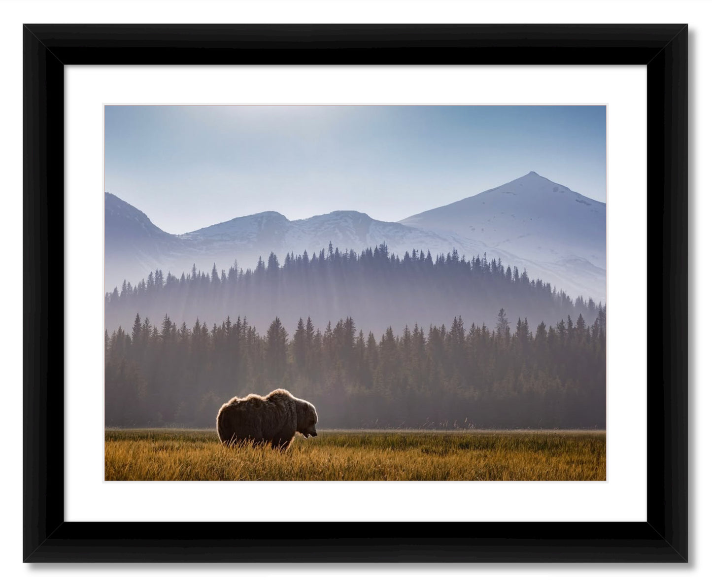 "Evening Graze"