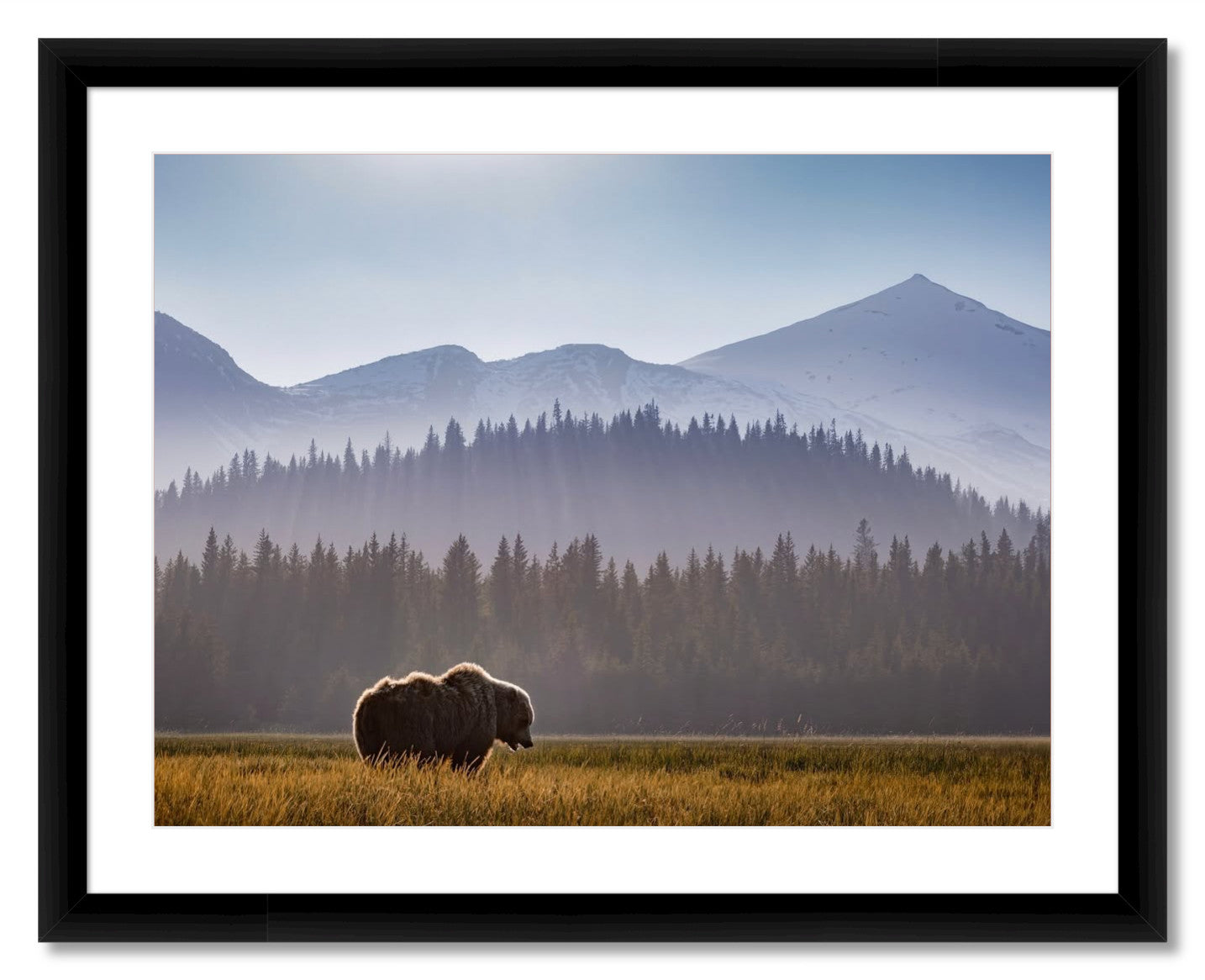 "Evening Graze"