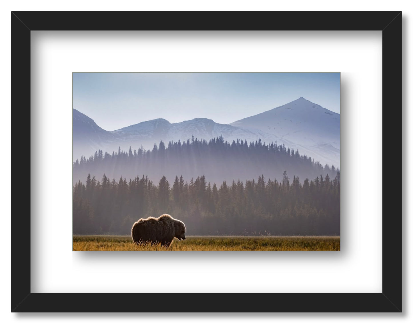 "Evening Graze"
