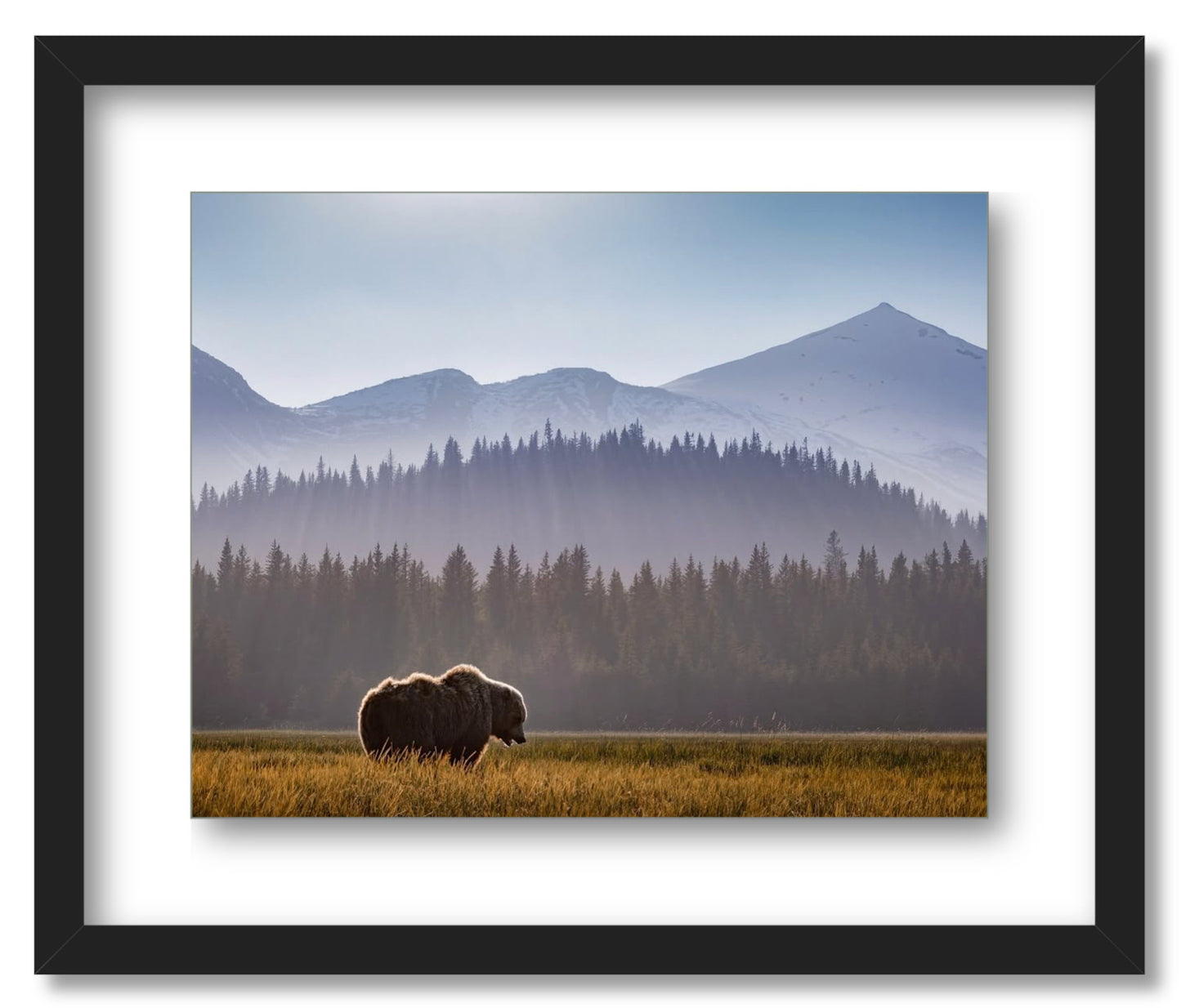 "Evening Graze"