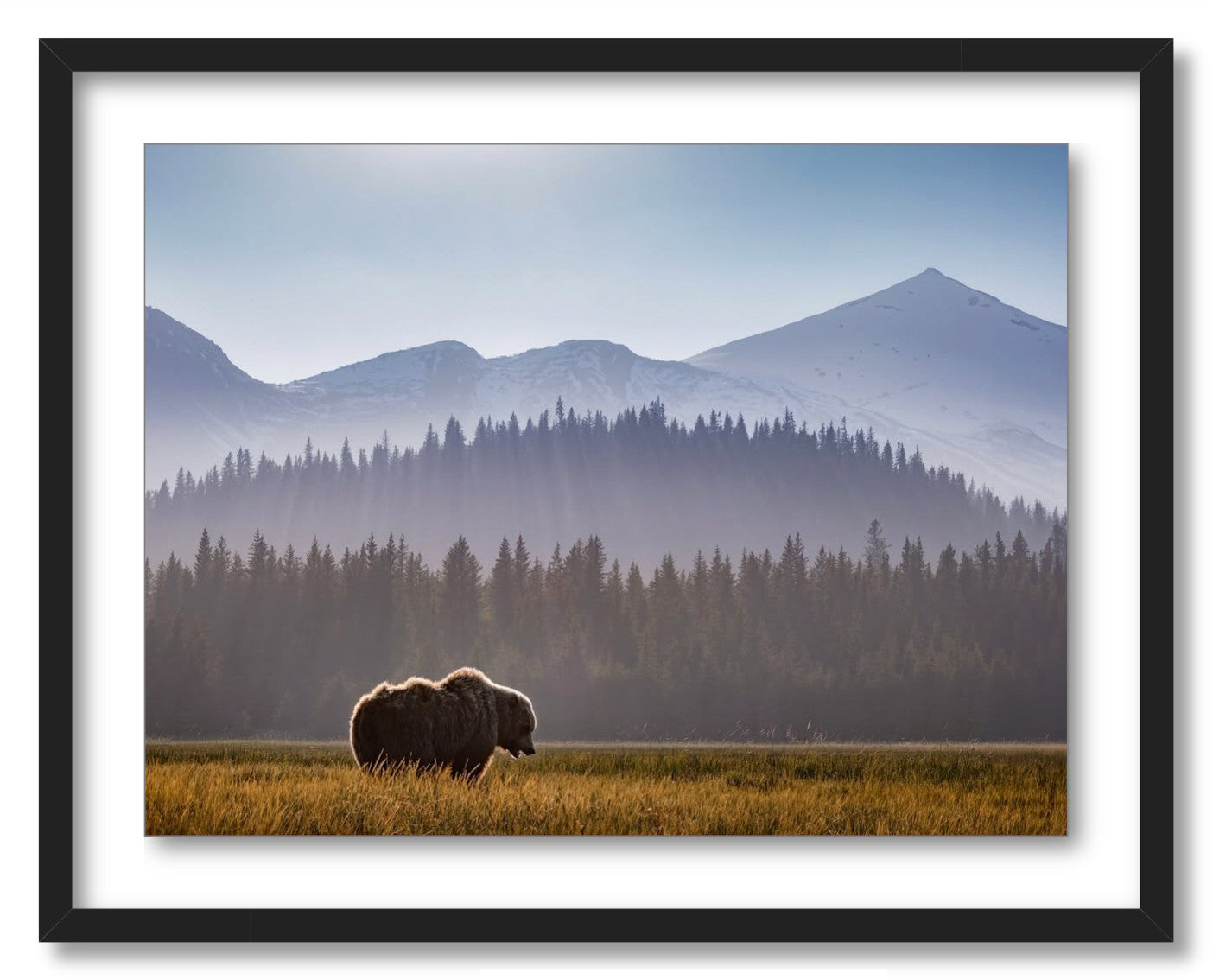 "Evening Graze"