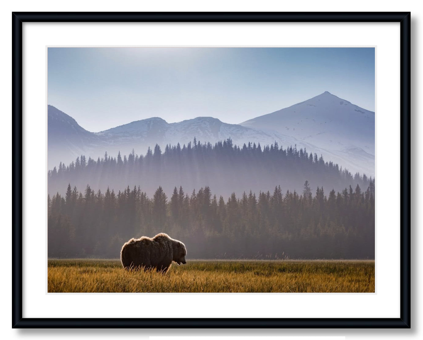 "Evening Graze"