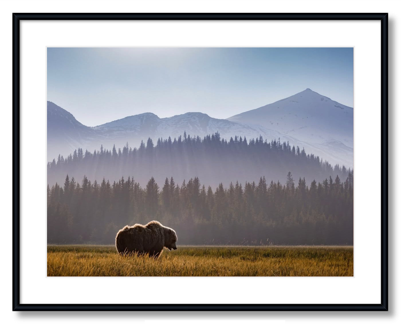 "Evening Graze"