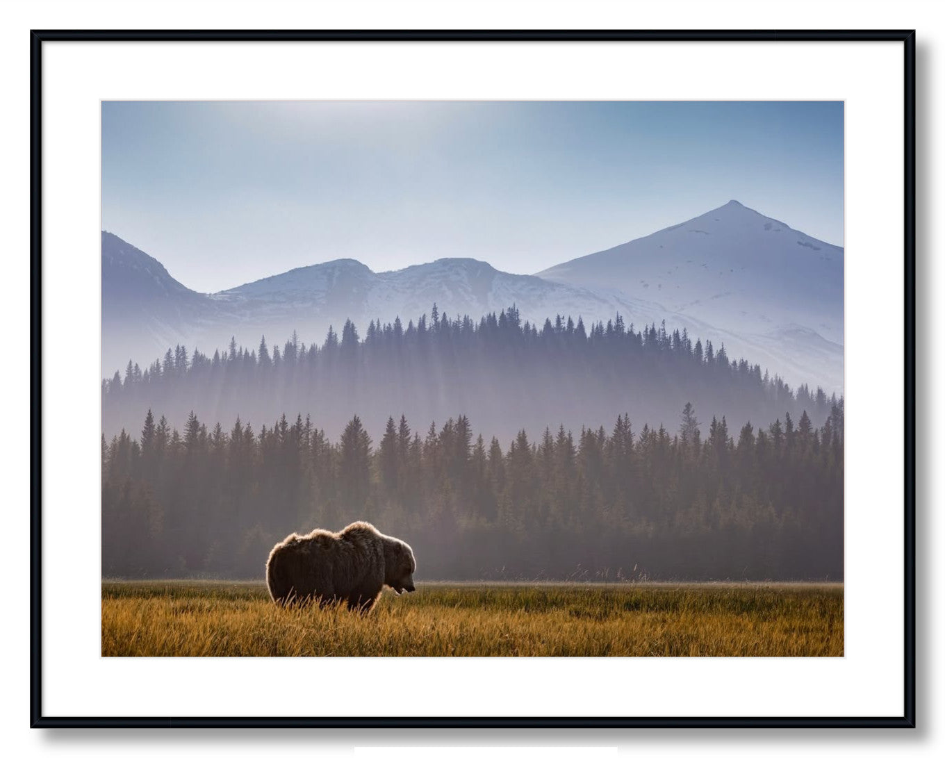 "Evening Graze"