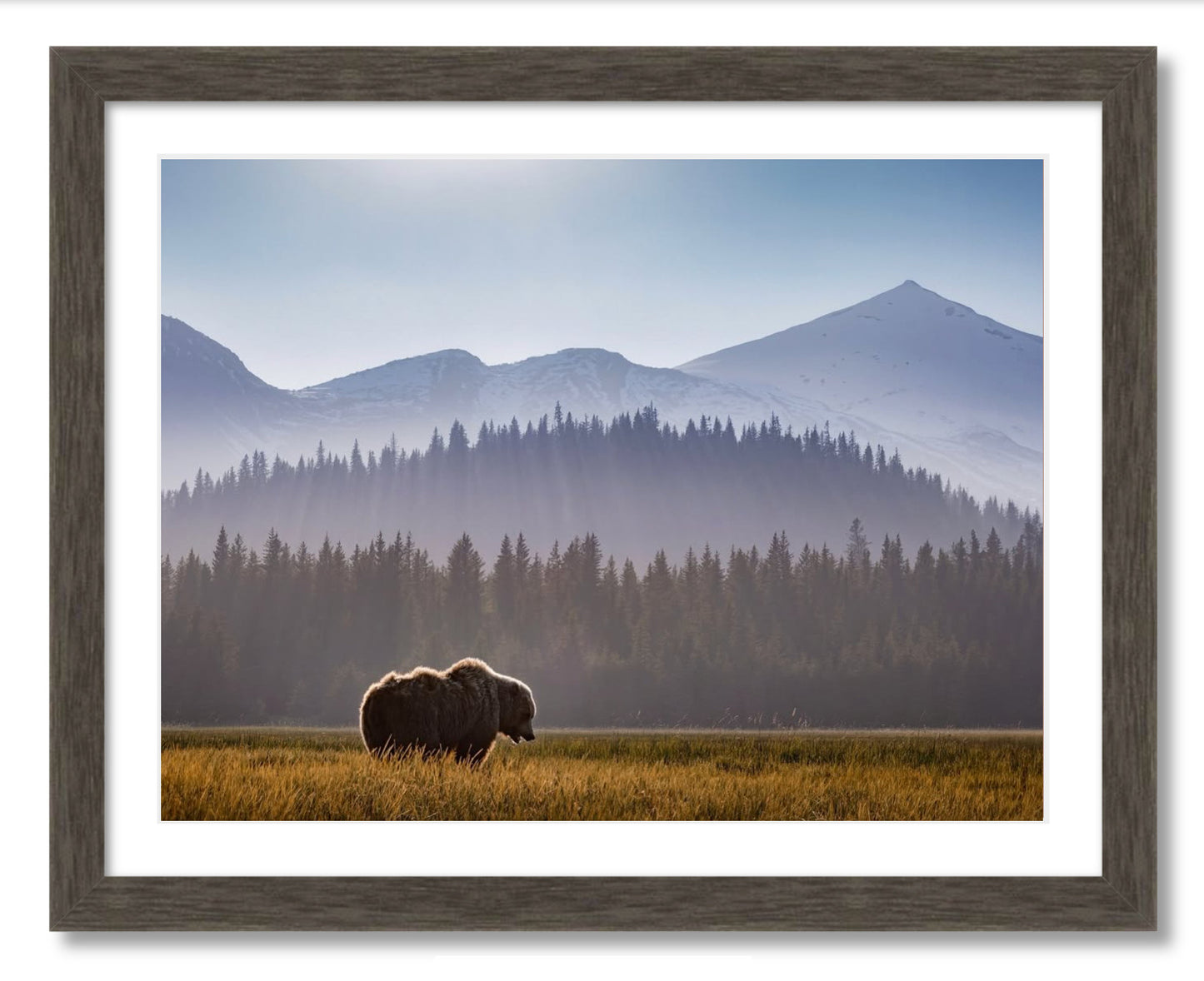 "Evening Graze"