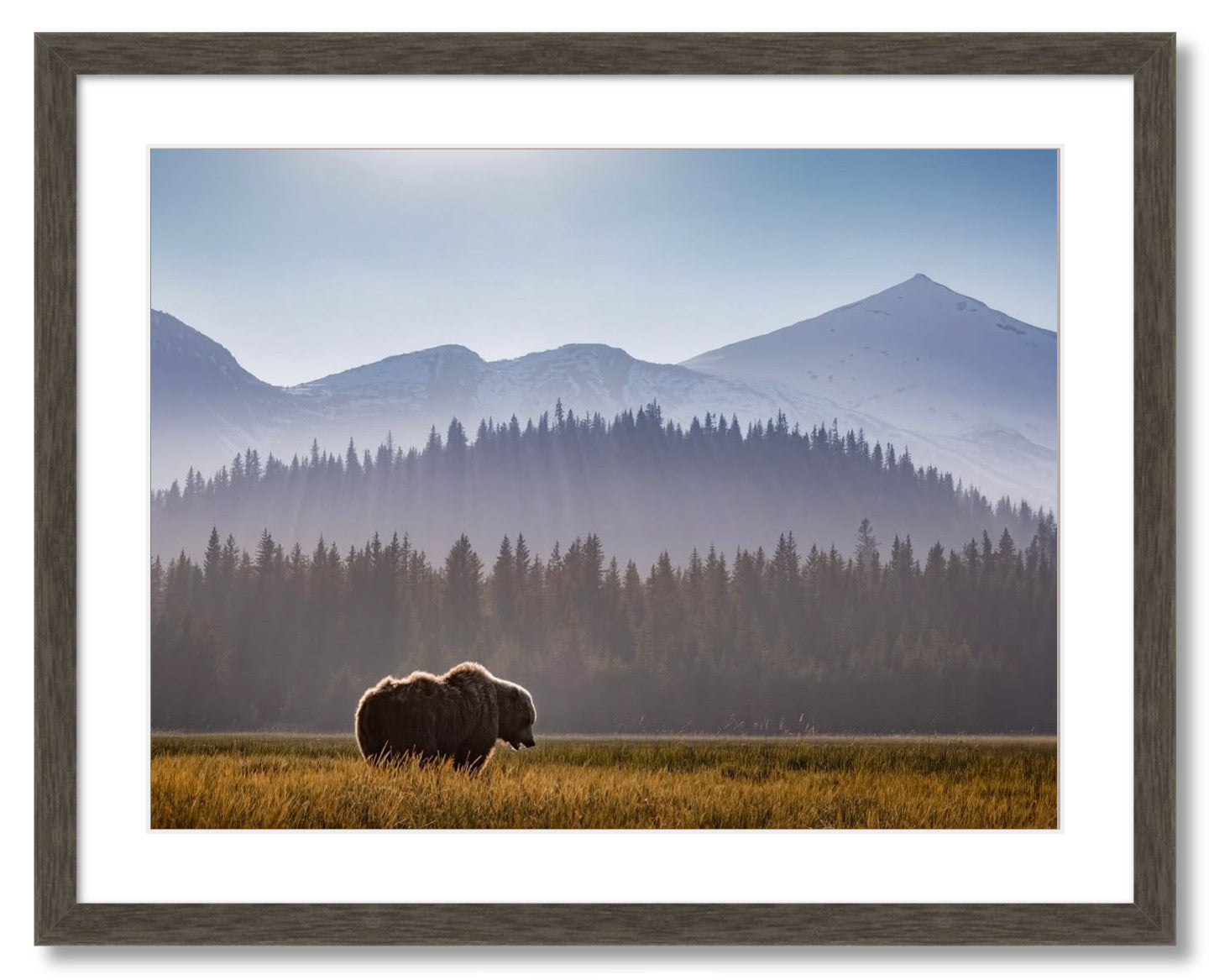 "Evening Graze"
