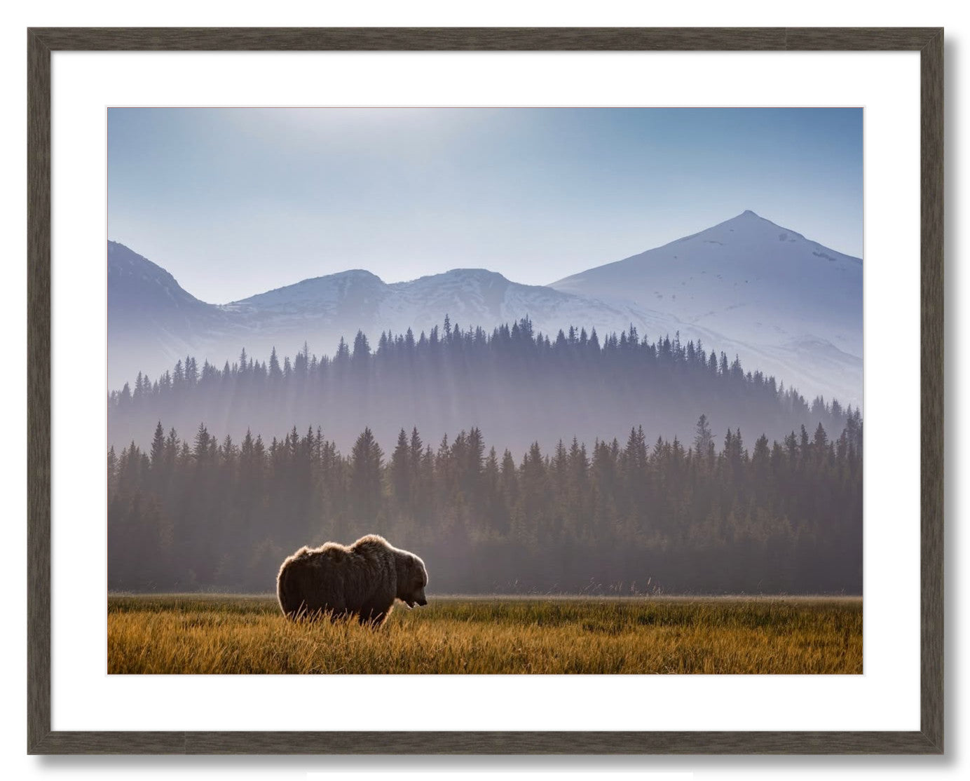 "Evening Graze"