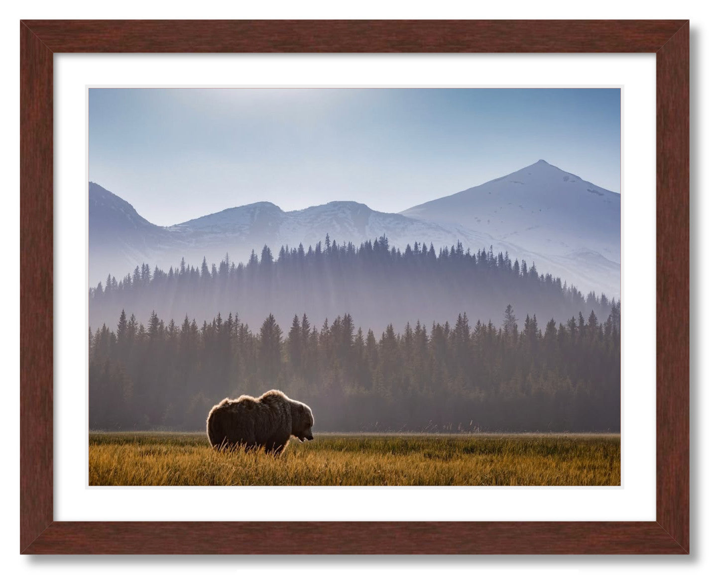"Evening Graze"