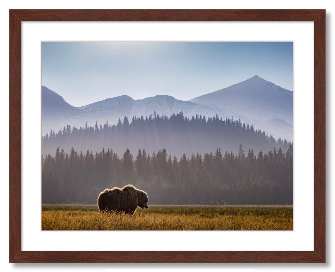 "Evening Graze"
