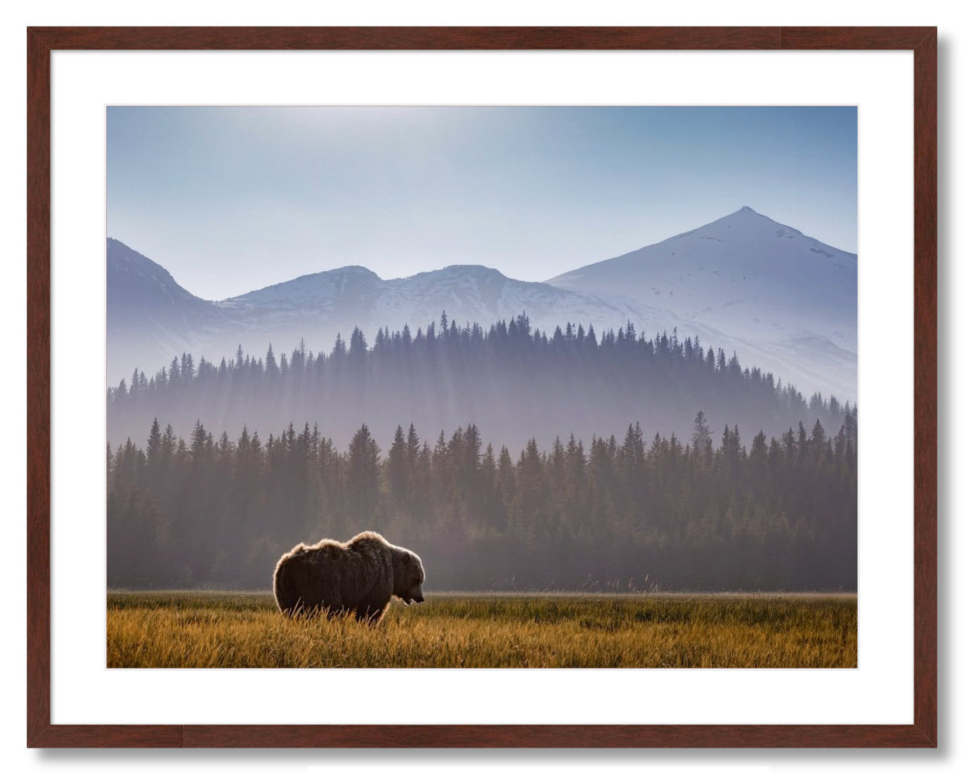 "Evening Graze"